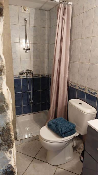 Maisonnette Chaleureuse De 35M2 Miremont  Eksteriør bilde